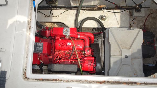 Bayliner 3988MY image