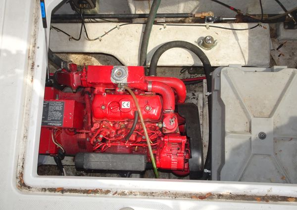 Bayliner 3988MY image