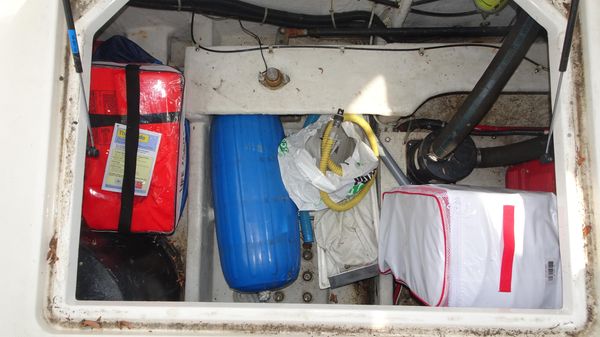 Bayliner 3988MY image