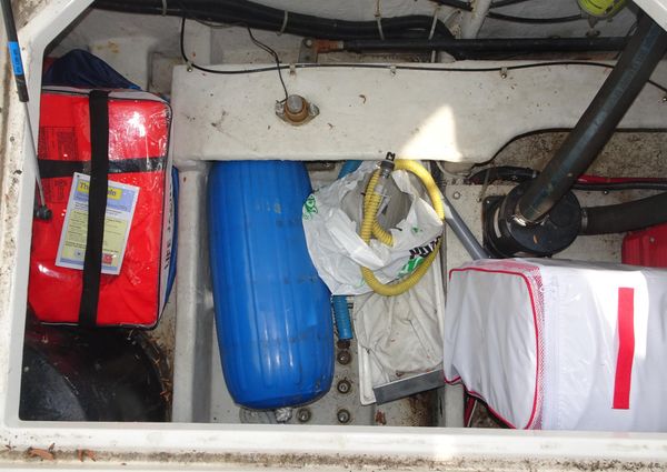 Bayliner 3988MY image