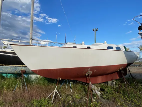 Pearson WANDERER image