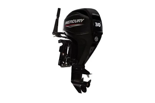 Mercury Fourstroke 30HP EFI image