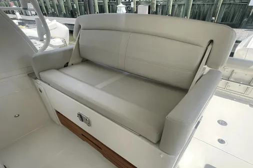 Boston Whaler 380 Realm image