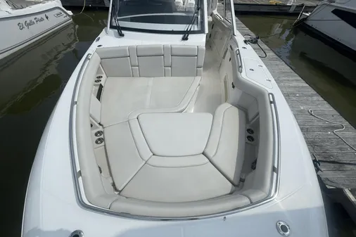Boston Whaler 380 Realm image