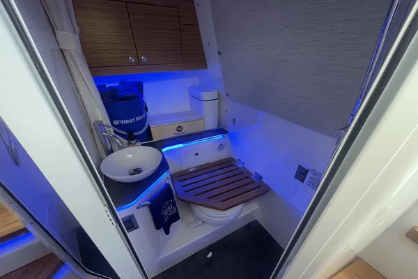 Boston Whaler 380 Realm image