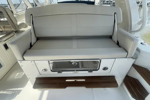Boston Whaler 380 Realm image