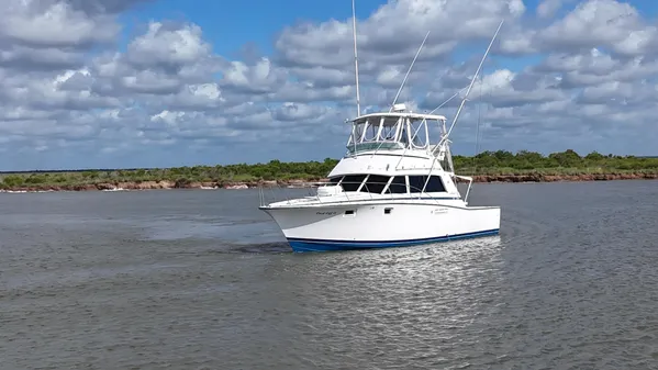 Bertram 38 Convertible image