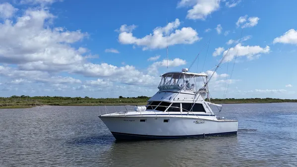 Bertram 38 Convertible image