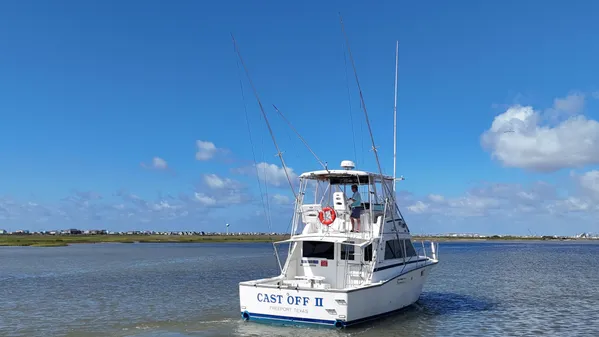 Bertram 38 Convertible image