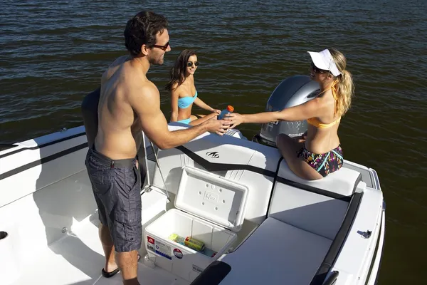 Monterey M-225 image