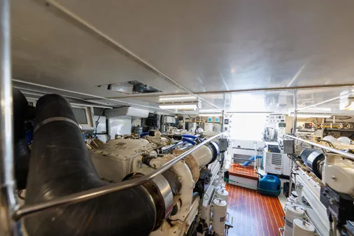 Tiffany Enclosed Bridge Sport fish image