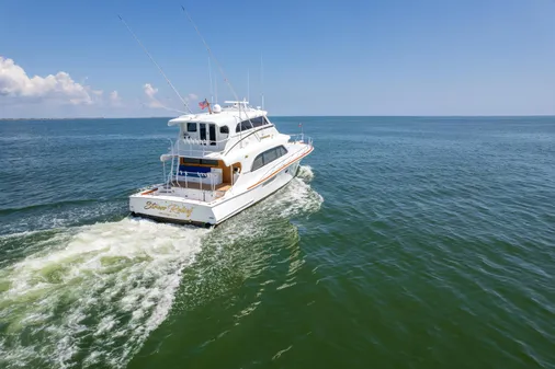 Tiffany Enclosed Bridge Sport fish image