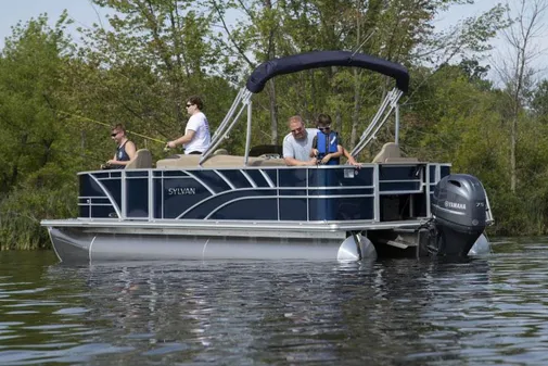 Sylvan MIRAGE-FISH-8520-PARTY-FISH-4-0 image