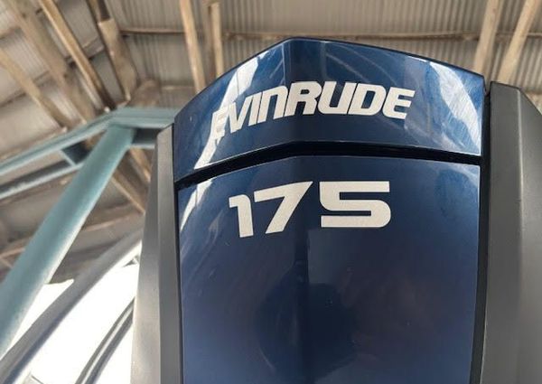 Sylvan MIRAGE-CRUISE-8524-ENTERTAINER-LE image