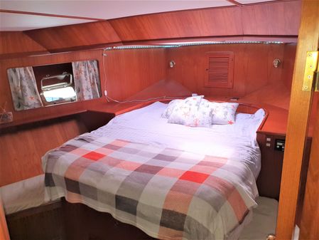 Trader 54 SUN DECK image