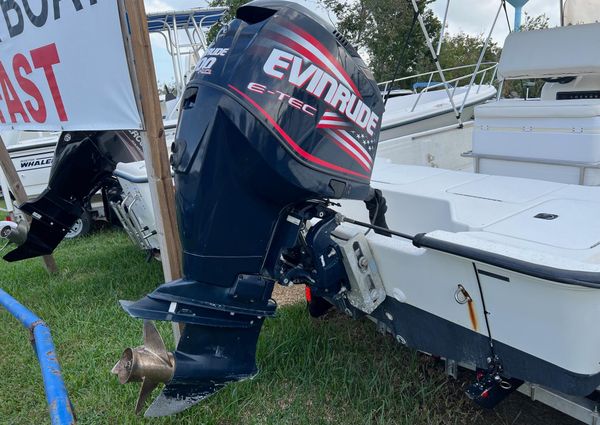 Triton 23-TUNNEL image