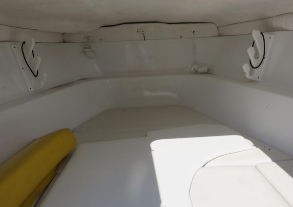 Baja 340-ISLANDER-OUTBOARD image