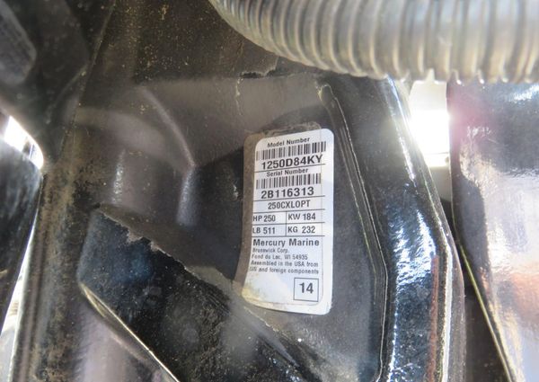 Baja 340-ISLANDER-OUTBOARD image