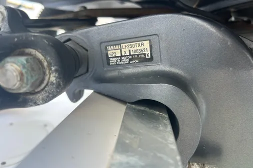 Grady-White Express 330 image