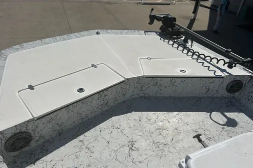 Dargel Kat 250 HDX image