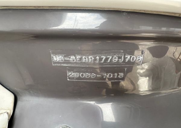 Sea-ray 290-SUN-SPORT image