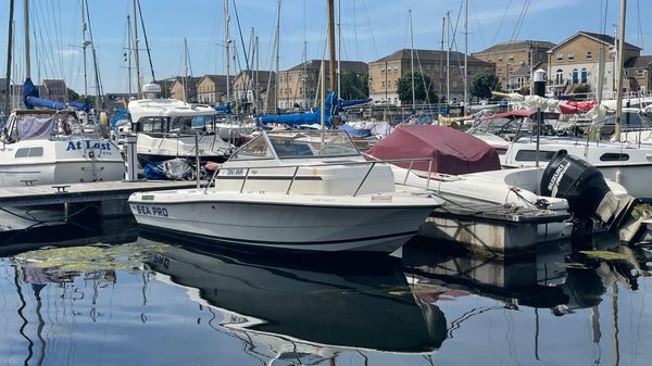 Sea Pro 190 Walk Around