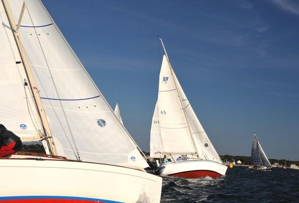 Pearson 31 - main image