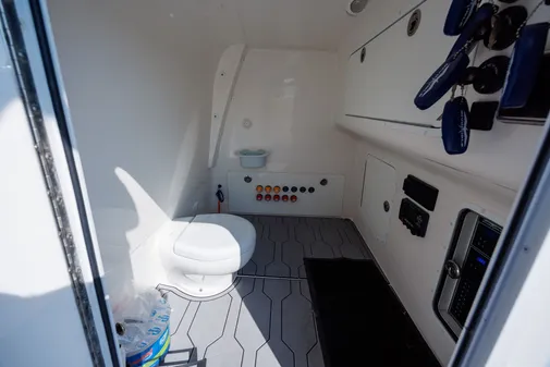 Invincible 37 Cat image