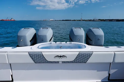 Invincible 37 Cat image