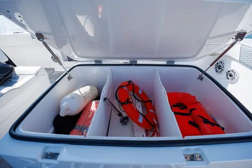 Invincible 37 Cat image