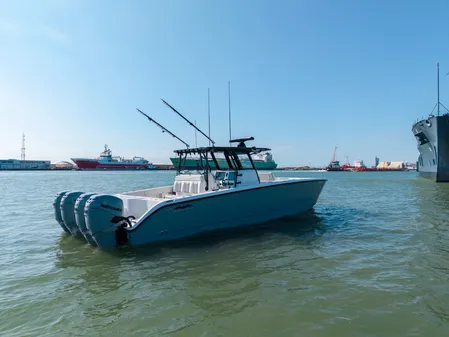 Invincible 37 Cat image