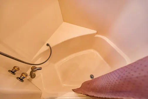 Carver 56 Voyager image