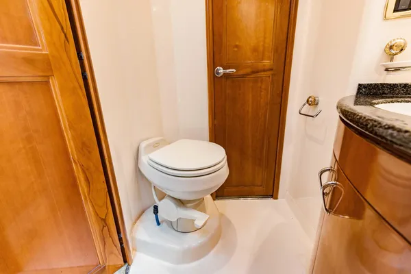 Carver 56 Voyager image