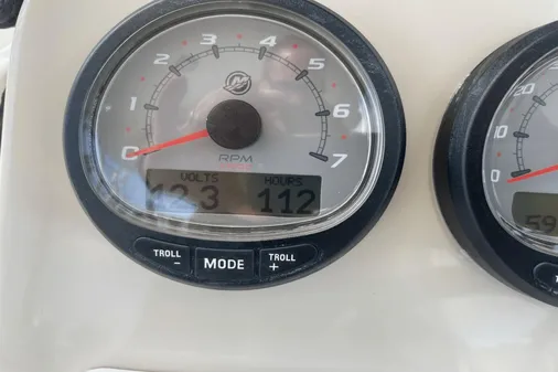 Boston Whaler 270 Vantage image