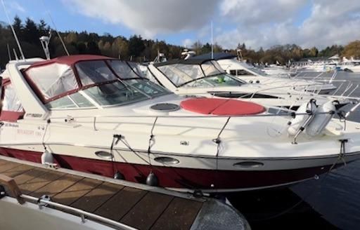 Cruisers 3070 Rogue