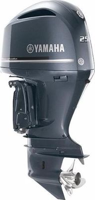 Yamaha Outboards F250 Offshore - main image