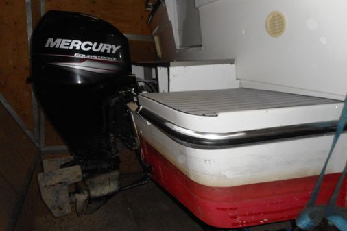 Viking-boats 295 image