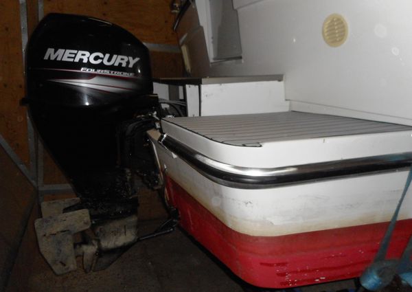 Viking-boats 295 image