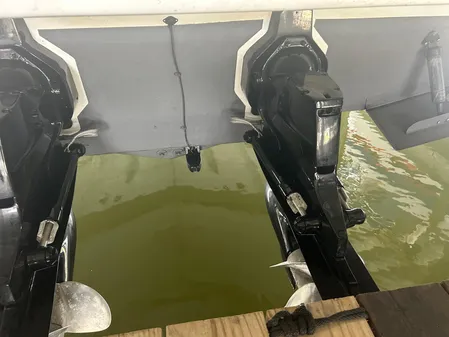 Formula 31 Performance Cruiser image