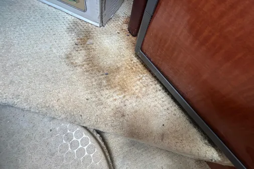 Sea Ray 260 Sundancer image