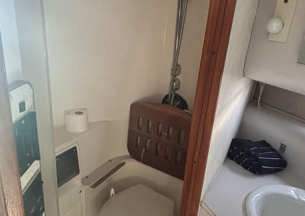 Cruisers 3670-ESPIRIT image