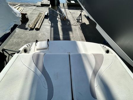 Stingray 195-FX image