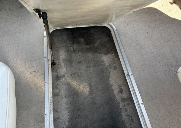 Stingray 195-FX image