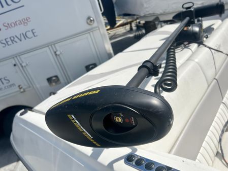 Stingray 195-FX image