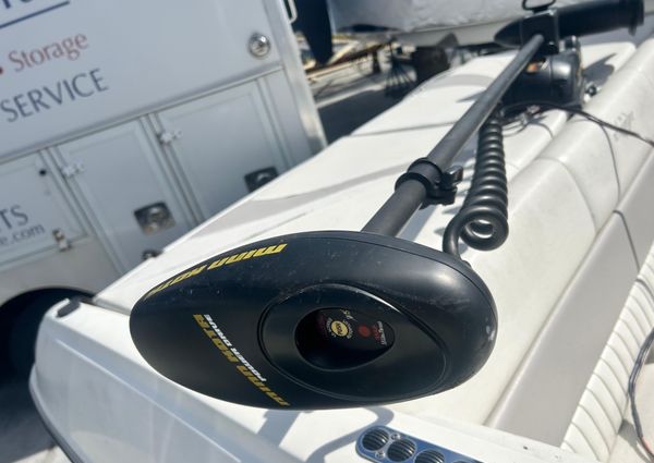 Stingray 195-FX image