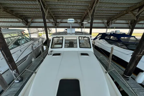 Mainship Pilot 34 image