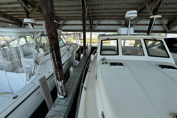 Mainship Pilot 34 image