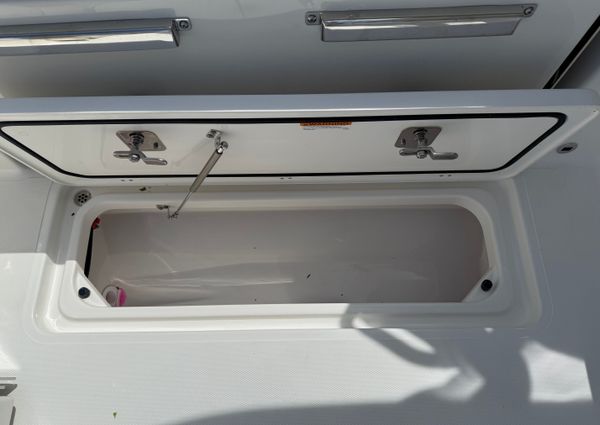 Pursuit DC-306-DUAL-CONSOLE image