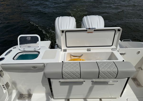 Pursuit DC-306-DUAL-CONSOLE image