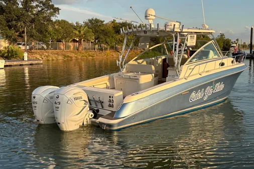 Wellcraft 340 Coastal image